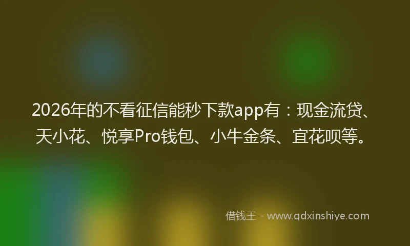 2026年的不看征信能秒下款app有：现金流贷、天小花、悦享Pro钱包、小牛金条、宜花呗等。