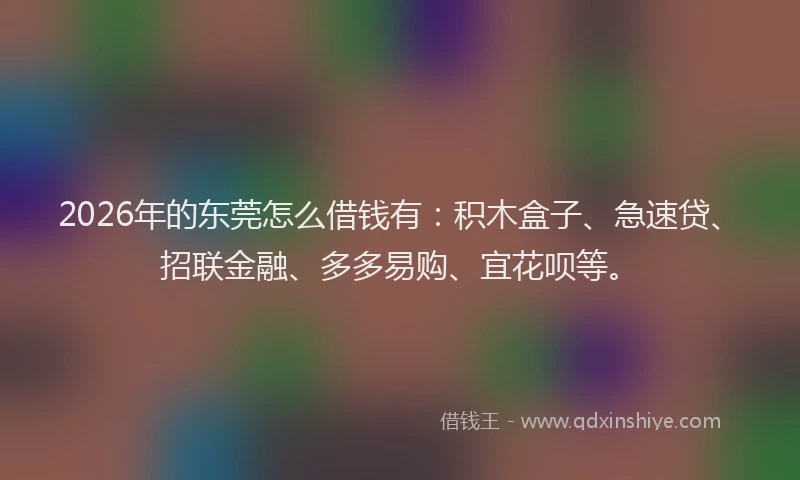 2026年的东莞怎么借钱有：积木盒子、急速贷、招联金融、多多易购、宜花呗等。