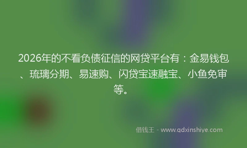 2026年的不看负债征信的网贷平台有：金易钱包、琉璃分期、易速购、闪贷宝速融宝、小鱼免审等。