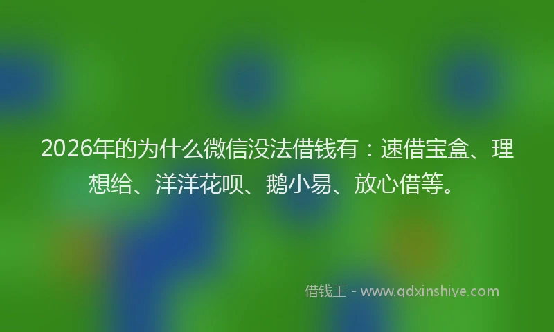2026年的为什么微信没法借钱有：速借宝盒、理想给、洋洋花呗、鹅小易、放心借等。
