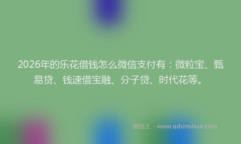 2026年的乐花借钱怎么微信支付有：微粒宝、甄易贷、钱速借宝融、分子贷、时代花等。