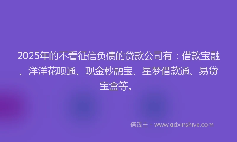 2025年的不看征信负债的贷款公司有：借款宝融、洋洋花呗通、现金秒融宝、星梦借款通、易贷宝盒等。