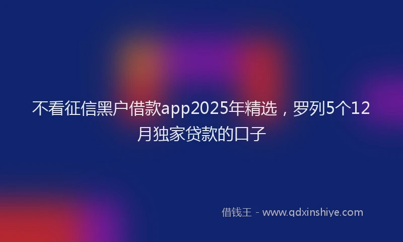 不看征信黑户借款app2025年精选，罗列5个12月独家贷款的口子