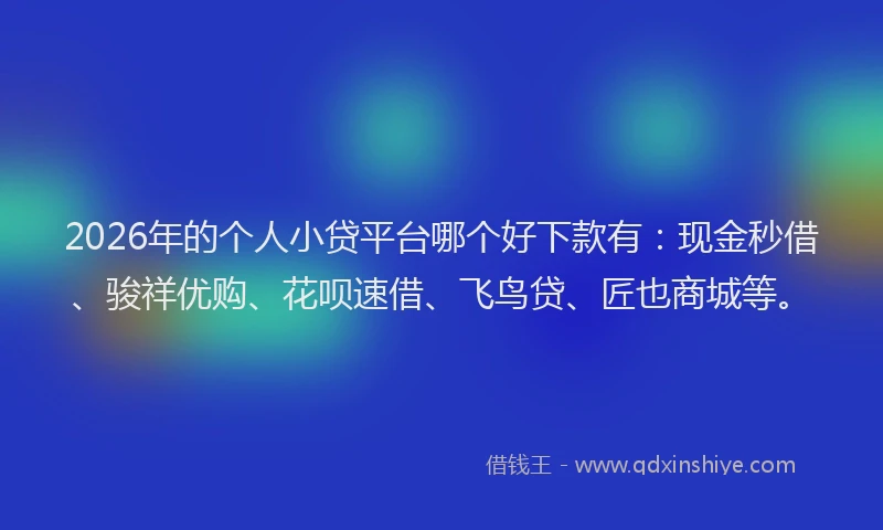 2026年的个人小贷平台哪个好下款有：现金秒借、骏祥优购、花呗速借、飞鸟贷、匠也商城等。
