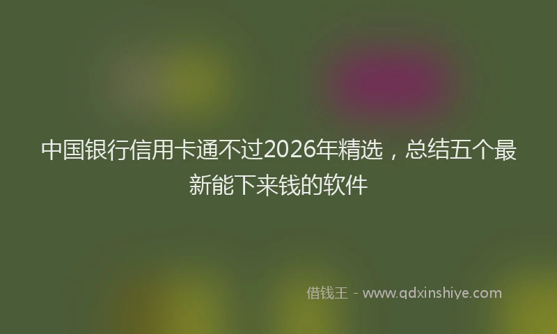 中国银行信用卡通不过2026年精选，总结五个最新能下来钱的软件