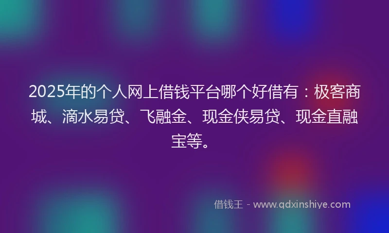 2025年的个人网上借钱平台哪个好借有：极客商城、滴水易贷、飞融金、现金侠易贷、现金直融宝等。