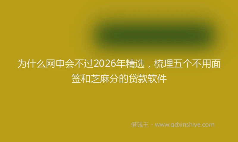 为什么网申会不过2026年精选，梳理五个不用面签和芝麻分的贷款软件