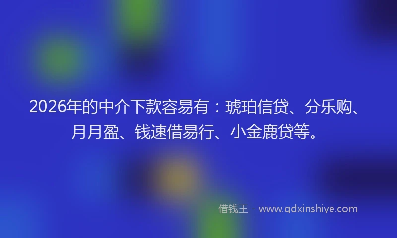 2026年的中介下款容易有：琥珀信贷、分乐购、月月盈、钱速借易行、小金鹿贷等。