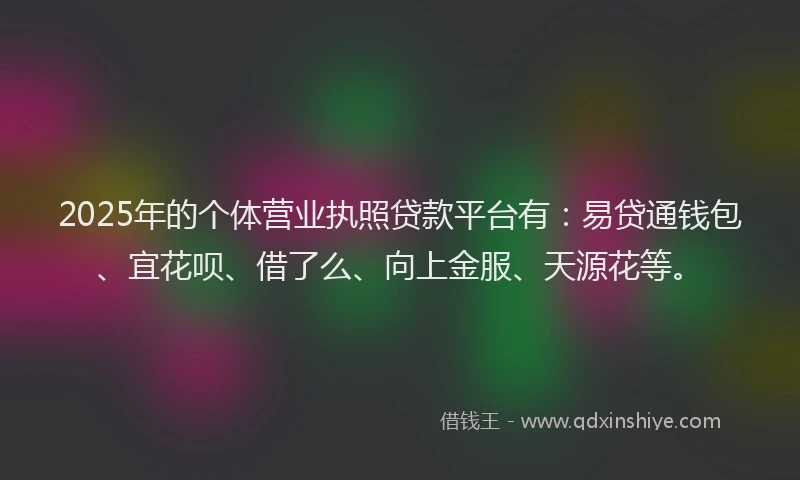 2025年的个体营业执照贷款平台有：易贷通钱包、宜花呗、借了么、向上金服、天源花等。