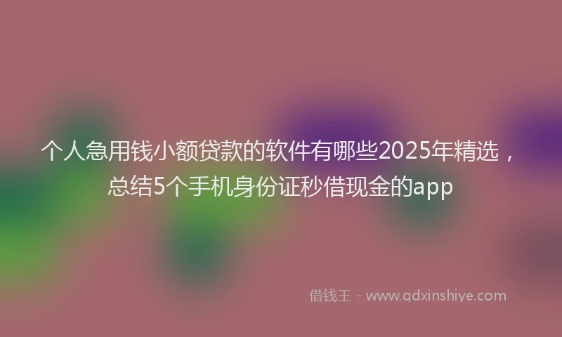 个人急用钱小额贷款的软件有哪些2025年精选，总结5个手机身份证秒借现金的app