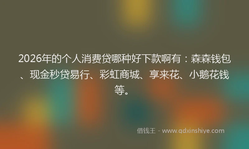 2026年的个人消费贷哪种好下款啊有：森森钱包、现金秒贷易行、彩虹商城、享来花、小鹅花钱等。