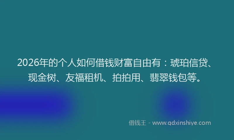 2026年的个人如何借钱财富自由有：琥珀信贷、现金树、友福租机、拍拍用、翡翠钱包等。