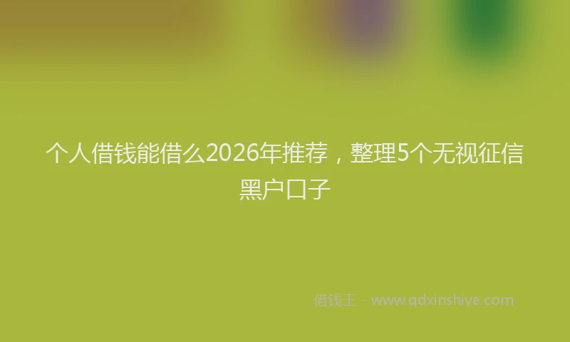 个人借钱能借么2026年推荐,整理5个无视征信黑户口子