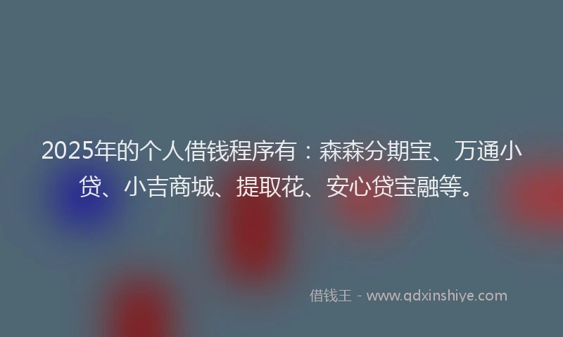 2025年的个人借钱程序有：森森分期宝、万通小贷、小吉商城、提取花、安心贷宝融等。