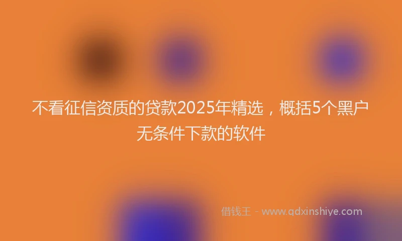 不看征信资质的贷款2025年精选，概括5个黑户无条件下款的软件