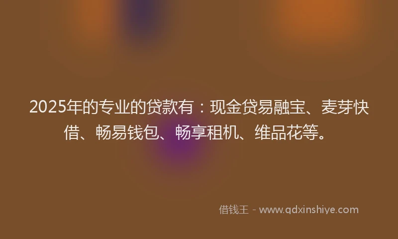2025年的专业的贷款有:现金贷易融宝、麦芽快借、畅易钱包、畅享租机、维品花等。