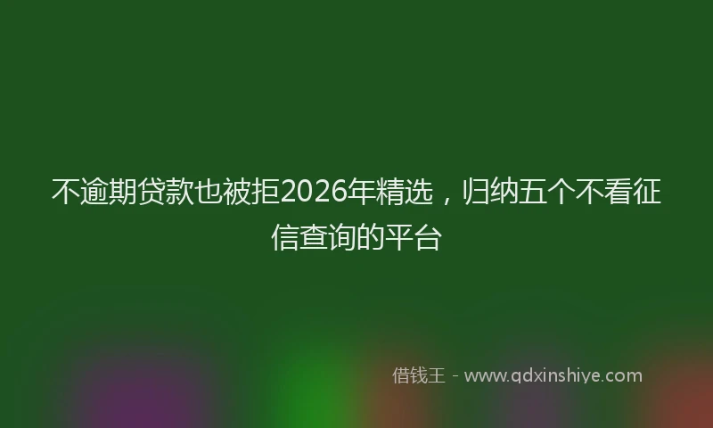 不逾期贷款也被拒2026年精选，归纳五个不看征信查询的平台