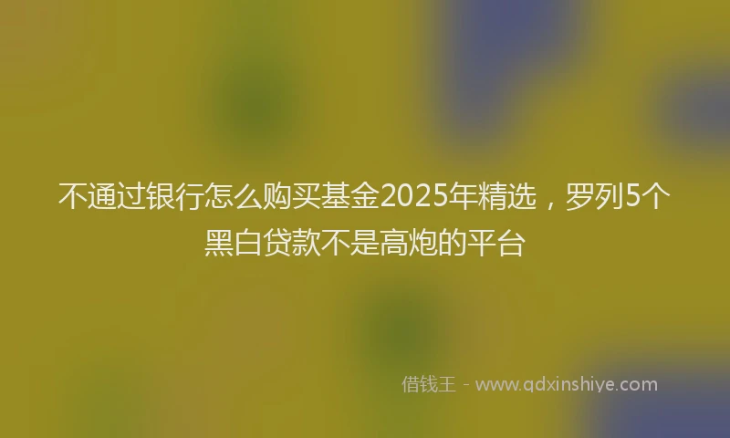 不通过银行怎么购买基金2025年精选，罗列5个黑白贷款不是高炮的平台