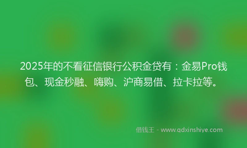2025年的不看征信银行公积金贷有：金易Pro钱包、现金秒融、嗨购、沪商易借、拉卡拉等。