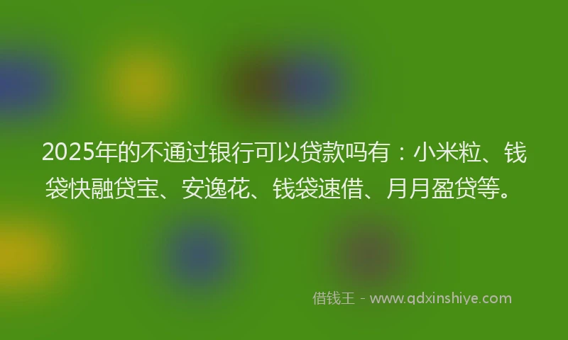 2025年的不通过银行可以贷款吗有:小米粒、钱袋快融贷宝、安逸花、钱袋速借、月月盈贷等。