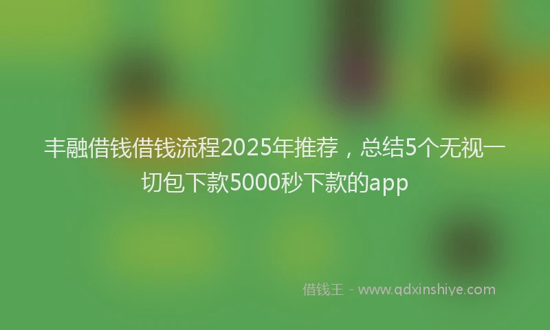 丰融借钱借钱流程2025年推荐，总结5个无视一切包下款5000秒下款的app