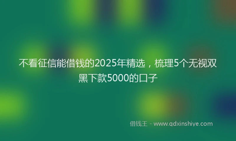 不看征信能借钱的2025年精选，梳理5个无视双黑下款5000的口子