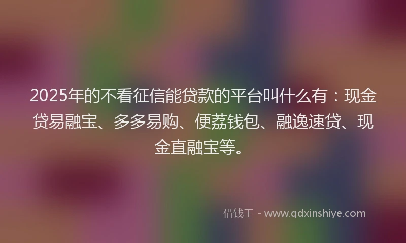2025年的不看征信能贷款的平台叫什么有：现金贷易融宝、多多易购、便荔钱包、融逸速贷、现金直融宝等。
