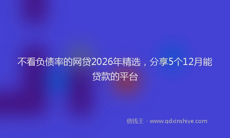 不看负债率的网贷2026年精选，分享5个12月能贷款的平台