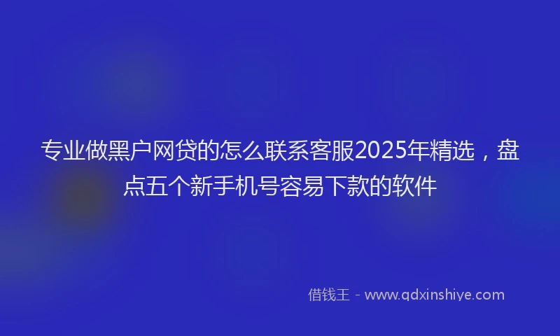 专业做黑户网贷的怎么联系客服2025年精选，盘点五个新手机号容易下款的软件