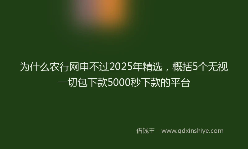 为什么农行网申不过2025年精选，概括5个无视一切包下款5000秒下款的平台