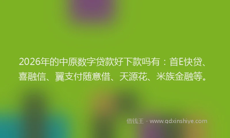 2026年的中原数字贷款好下款吗有:首E快贷、喜融信、翼支付随意借、天源花、米族金融等。