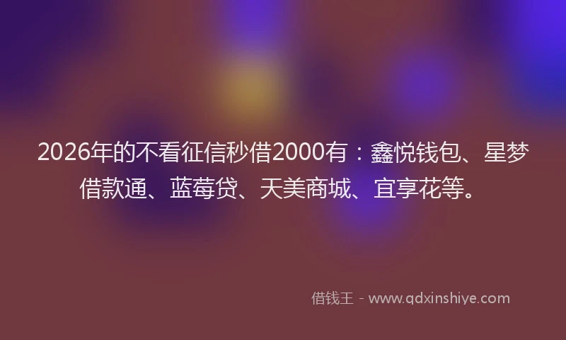 2026年的不看征信秒借2000有：鑫悦钱包、星梦借款通、蓝莓贷、天美商城、宜享花等。