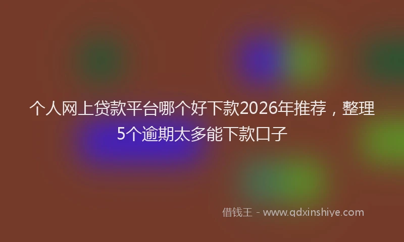 个人网上贷款平台哪个好下款2026年推荐，整理5个逾期太多能下款口子