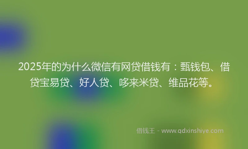 2025年的为什么微信有网贷借钱有：甄钱包、借贷宝易贷、好人贷、哆来米贷、维品花等。