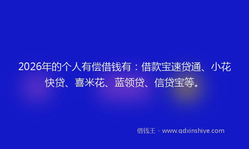 2026年的个人有偿借钱有：借款宝速贷通、小花快贷、喜米花、蓝领贷、信贷宝等。