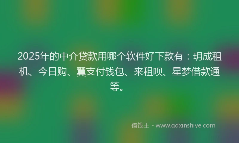 2025年的中介贷款用哪个软件好下款有：玥成租机、今日购、翼支付钱包、来租呗、星梦借款通等。