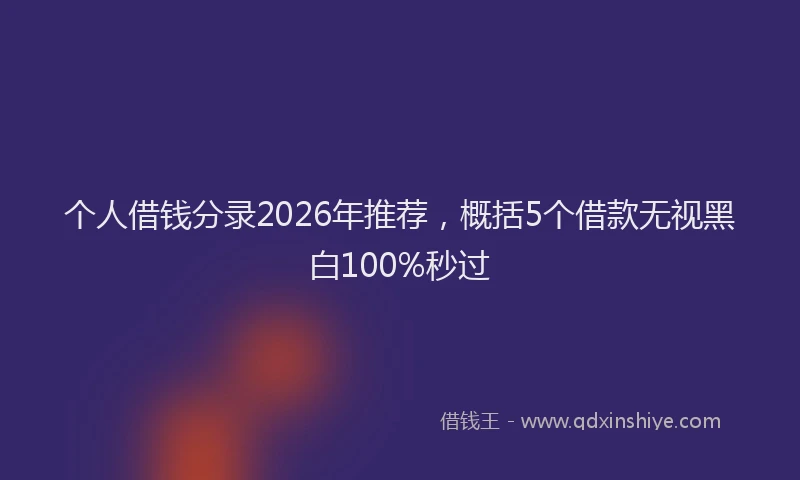 个人借钱分录2026年推荐，概括5个借款无视黑白100%秒过