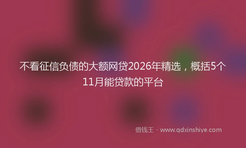 不看征信负债的大额网贷2026年精选，概括5个11月能贷款的平台