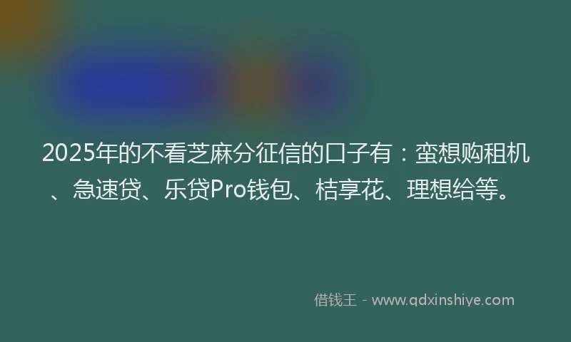 2025年的不看芝麻分征信的口子有：蛮想购租机、急速贷、乐贷Pro钱包、桔享花、理想给等。