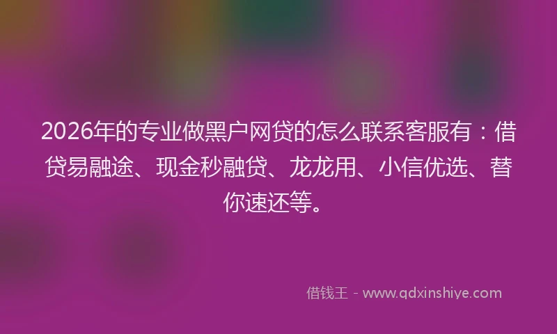 2026年的专业做黑户网贷的怎么联系客服有:借贷易融途、现金秒融贷、龙龙用、小信优选、替你速还等。