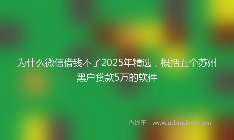 为什么微信借钱不了2025年精选，概括五个苏州黑户贷款5万的软件
