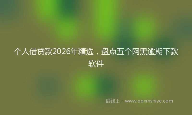 个人借贷款2026年精选，盘点五个网黑逾期下款软件