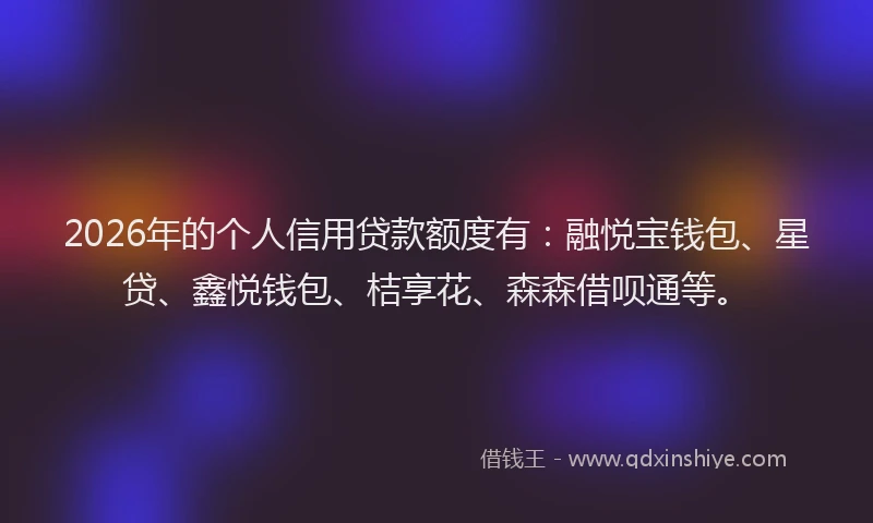 2026年的个人信用贷款额度有:融悦宝钱包、星贷、鑫悦钱包、桔享花、森森借呗通等。