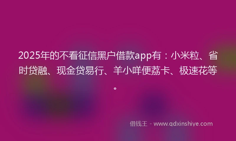 2025年的不看征信黑户借款app有：小米粒、省时贷融、现金贷易行、羊小咩便荔卡、极速花等。