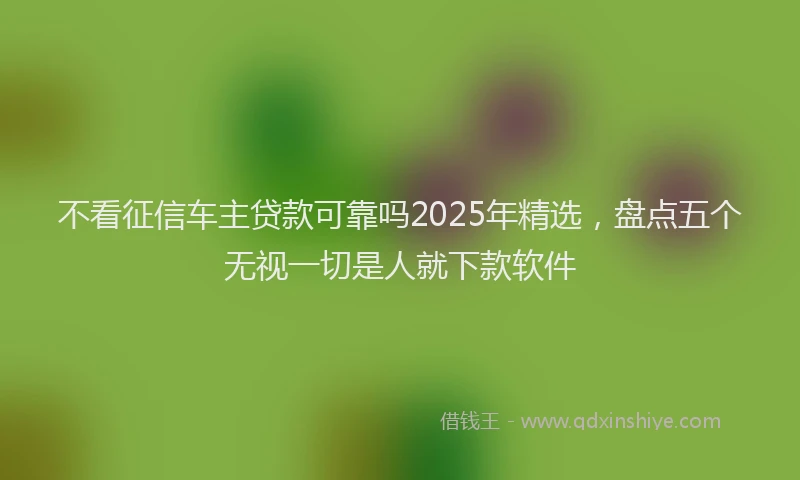 不看征信车主贷款可靠吗2025年精选，盘点五个无视一切是人就下款软件