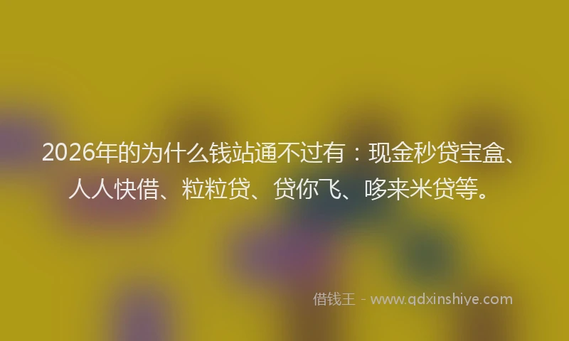 2026年的为什么钱站通不过有：现金秒贷宝盒、人人快借、粒粒贷、贷你飞、哆来米贷等。