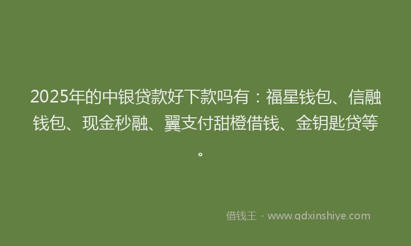 2025年的中银贷款好下款吗有:福星钱包、信融钱包、现金秒融、翼支付甜橙借钱、金钥匙贷等。