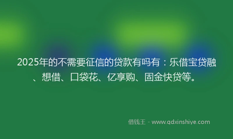 2025年的不需要征信的贷款有吗有:乐借宝贷融、想借、口袋花、亿享购、固金快贷等。
