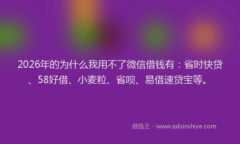 2026年的为什么我用不了微信借钱有：省时快贷、58好借、小麦粒、省呗、易借速贷宝等。