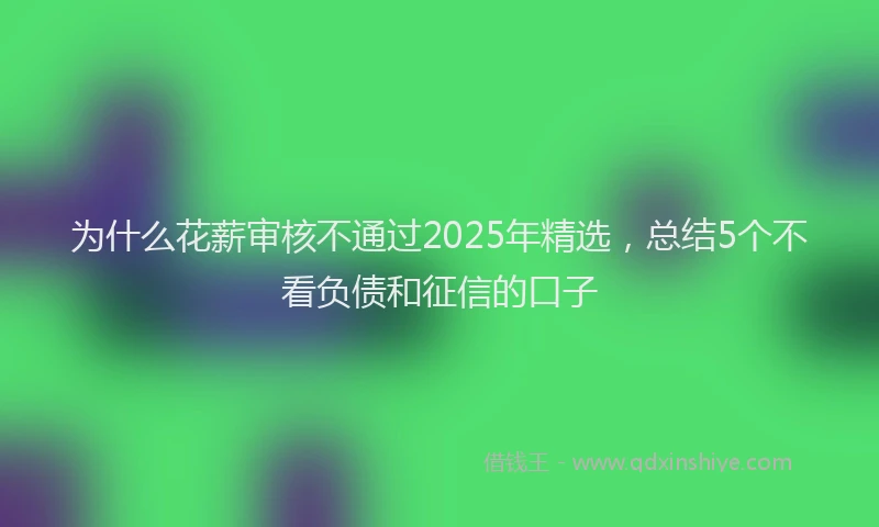 为什么花薪审核不通过2025年精选，总结5个不看负债和征信的口子